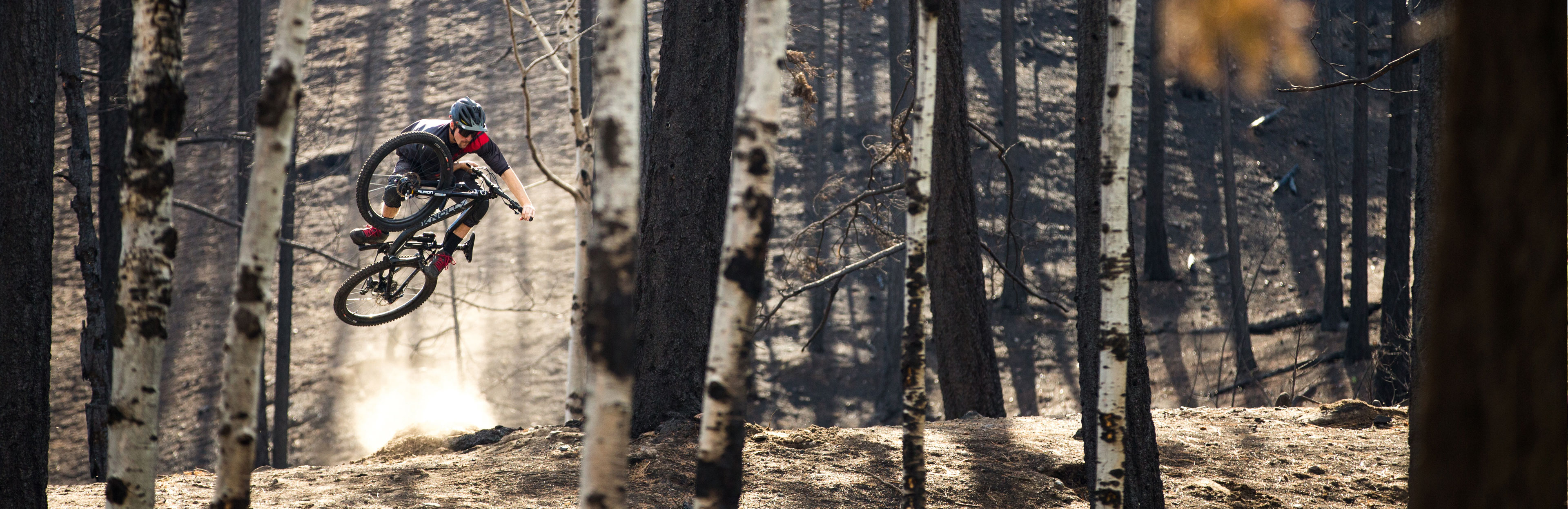 mountain bike shock service